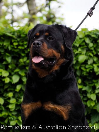 dayennfromjinnshome dayennfromjinnshome