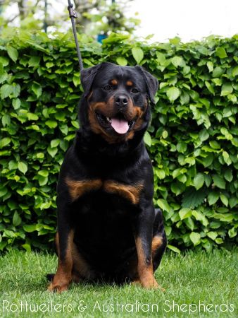 dayennfromjinnshome2 dayennfromjinnshome2