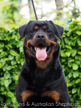 djunefromjinnshome djunefromjinnshome