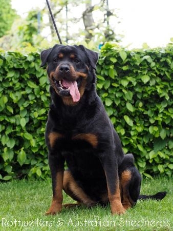 djunefromjinnshome2 djunefromjinnshome2